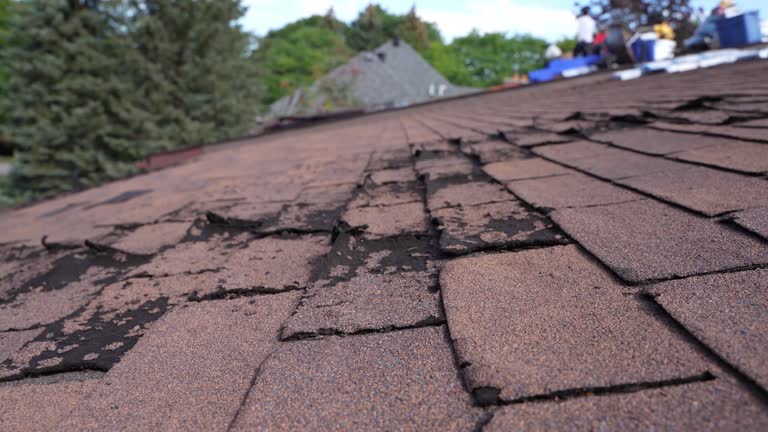 Best Gutter Installation and Repair  in Spencerville, OH